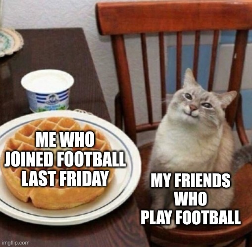 Cat likes their waffle | ME WHO JOINED FOOTBALL LAST FRIDAY; MY FRIENDS WHO PLAY FOOTBALL | image tagged in cat likes their waffle | made w/ Imgflip meme maker