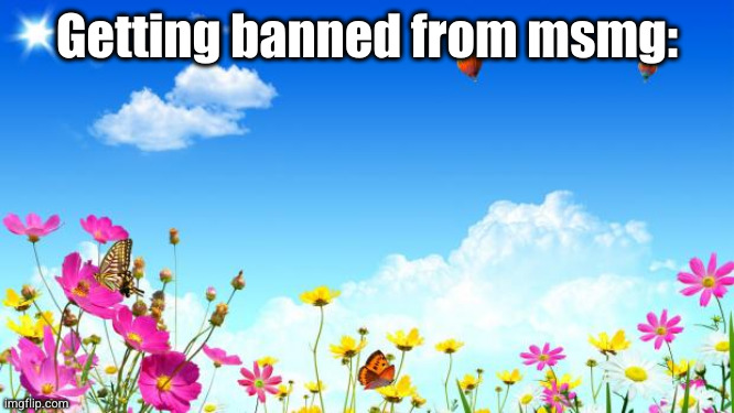 sunny day | Getting banned from msmg: | image tagged in sunny day | made w/ Imgflip meme maker