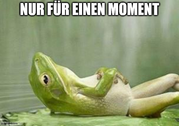 relax frog | NUR FÜR EINEN MOMENT | image tagged in relax frog | made w/ Imgflip meme maker