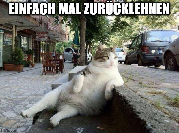 CAT RELAX | EINFACH MAL ZURÜCKLEHNEN | image tagged in cat relax | made w/ Imgflip meme maker