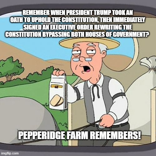 Pepperidge Farm Remembers Meme | REMEMBER WHEN PRESIDENT TRUMP TOOK AN OATH TO UPHOLD THE CONSTITUTION, THEN IMMEDIATELY SIGNED AN EXECUTIVE ORDER REWRITING THE CONSTITUTION BYPASSING BOTH HOUSES OF GOVERNMENT? PEPPERIDGE FARM REMEMBERS! | image tagged in memes,pepperidge farm remembers | made w/ Imgflip meme maker