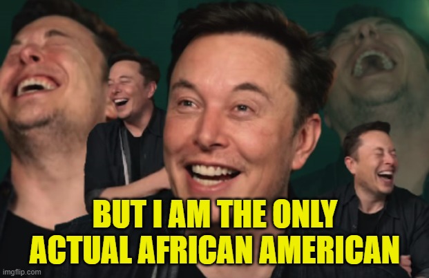 Elon Musk Laughing | BUT I AM THE ONLY ACTUAL AFRICAN AMERICAN | image tagged in elon musk laughing | made w/ Imgflip meme maker