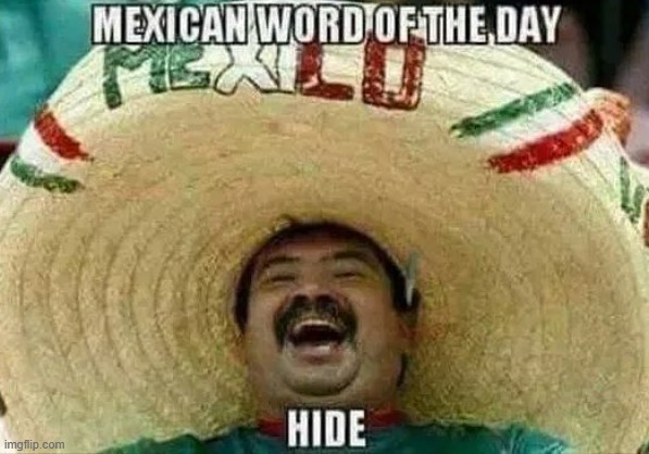 Cinco de hide | image tagged in mexico,illegal immigration,deportation,make america great again,maga,trump | made w/ Imgflip meme maker