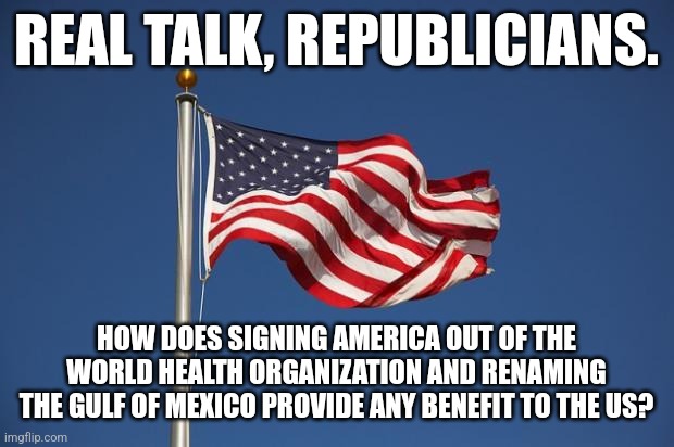 Because I feel like they are very unnecessary. | REAL TALK, REPUBLICIANS. HOW DOES SIGNING AMERICA OUT OF THE WORLD HEALTH ORGANIZATION AND RENAMING THE GULF OF MEXICO PROVIDE ANY BENEFIT TO THE US? | image tagged in us flag | made w/ Imgflip meme maker