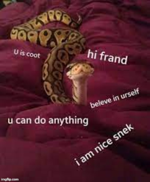 Nice snek | image tagged in nice snek | made w/ Imgflip meme maker