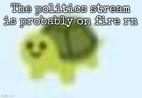 low quality turtle | The politics stream is probably on fire rn | image tagged in low quality turtle,msmg | made w/ Imgflip meme maker