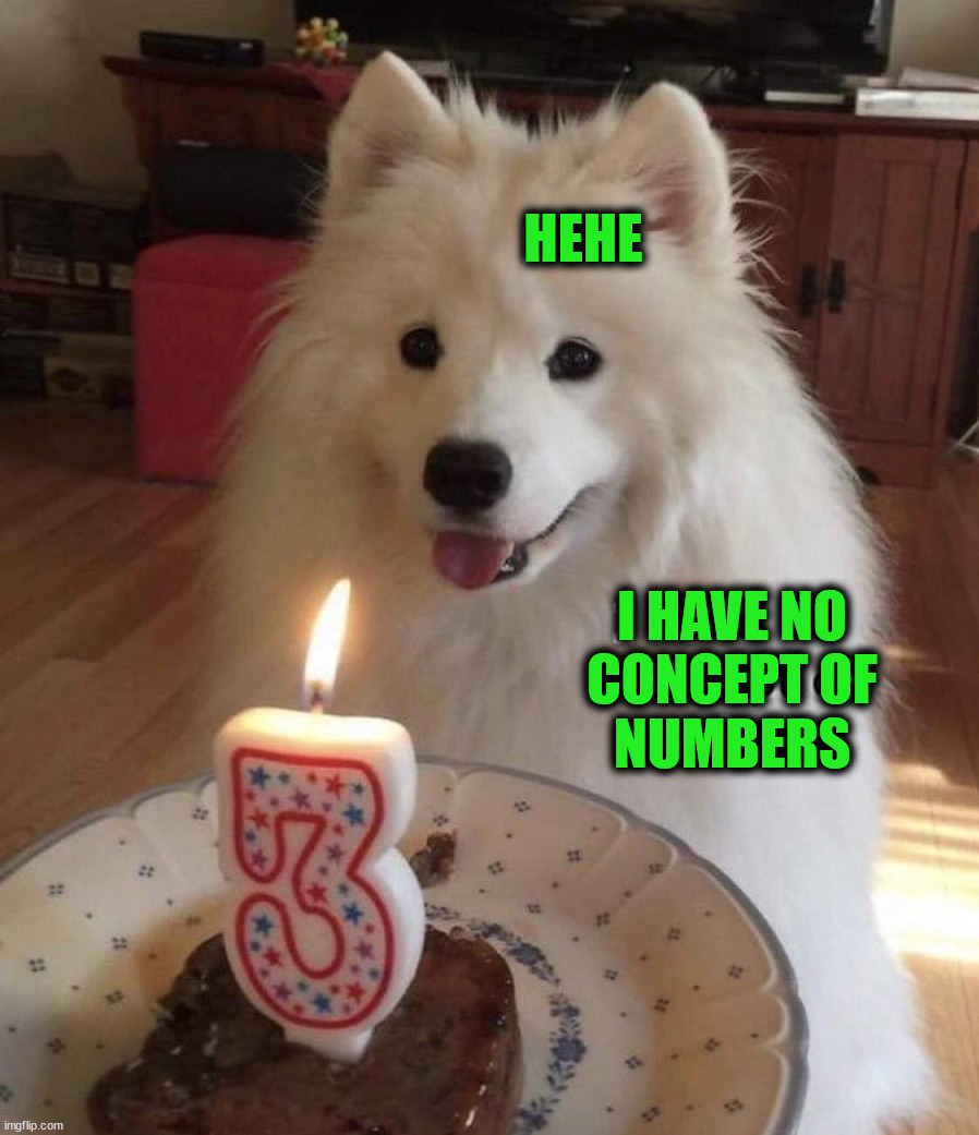 I am actually 21 | HEHE; I HAVE NO
CONCEPT OF
NUMBERS | image tagged in dogs | made w/ Imgflip meme maker