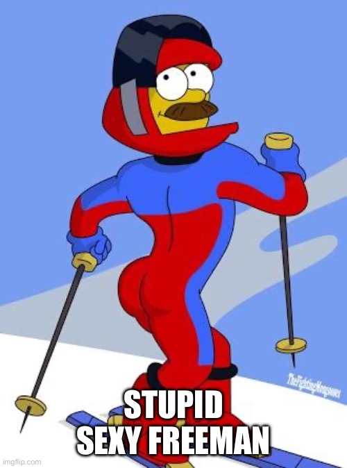 Stupid sexy Flanders  | STUPID SEXY FREEMAN | image tagged in stupid sexy flanders | made w/ Imgflip meme maker