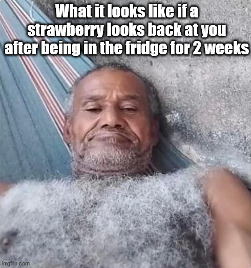 So hairy | What it looks like if a strawberry looks back at you after being in the fridge for 2 weeks | image tagged in cursed image | made w/ Imgflip meme maker