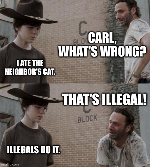 Rick and Carl | CARL, WHAT'S WRONG? I ATE THE NEIGHBOR'S CAT. THAT'S ILLEGAL! ILLEGALS DO IT. | image tagged in memes,rick and carl | made w/ Imgflip meme maker