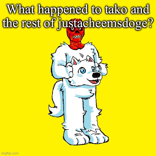 Vita mimic furry | What happened to tako and the rest of justacheemsdoge? | image tagged in vita mimic furry | made w/ Imgflip meme maker