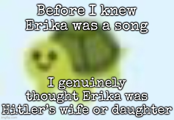 low quality turtle | Before I knew Erika was a song; I genuinely thought Erika was Hitler’s wife or daughter | image tagged in low quality turtle,msmg | made w/ Imgflip meme maker