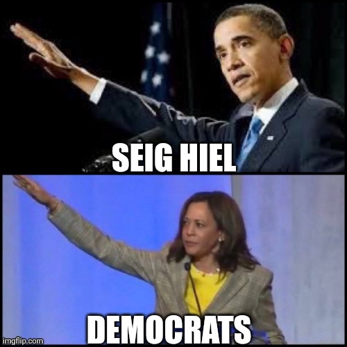 SEIG HIEL DEMOCRATS | made w/ Imgflip meme maker