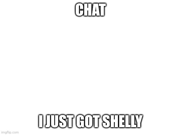 I can't wait to play her after school! | CHAT; I JUST GOT SHELLY | image tagged in shelly,yay | made w/ Imgflip meme maker