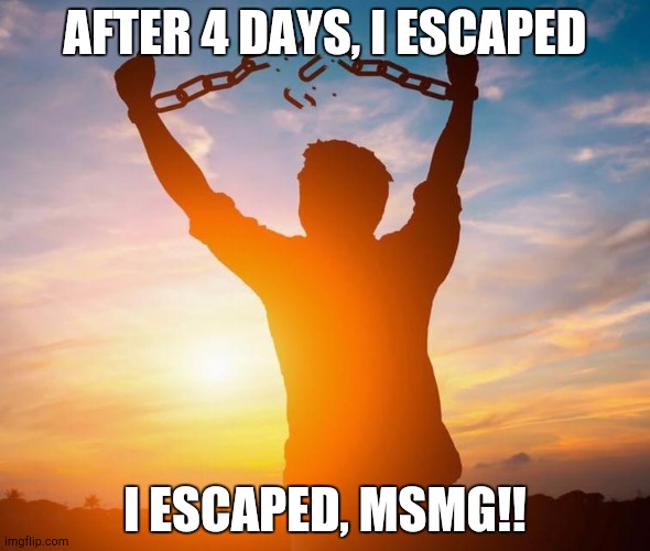 Finlly | AFTER 4 DAYS, I ESCAPED; I ESCAPED, MSMG!! | image tagged in i escaped | made w/ Imgflip meme maker
