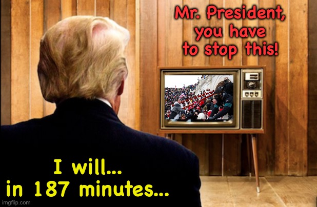 Trump watching his supporters riot | Mr. President, you have to stop this! I will...
in 187 minutes... | image tagged in capitol riot | made w/ Imgflip meme maker