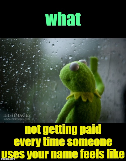 . | what; not getting paid every time someone uses your name feels like | image tagged in kermit window | made w/ Imgflip meme maker