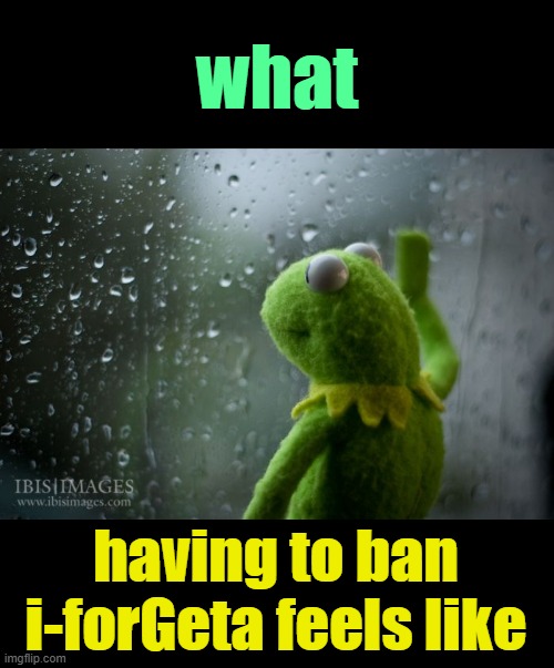 . | what; having to ban i-forGeta feels like | image tagged in kermit window | made w/ Imgflip meme maker