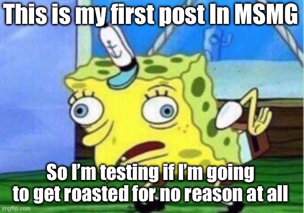 Mocking Spongebob | This is my first post In MSMG; So I’m testing if I’m going to get roasted for no reason at all | image tagged in memes,mocking spongebob | made w/ Imgflip meme maker