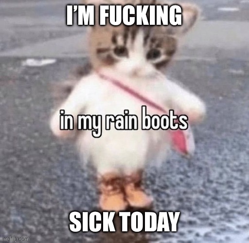Rain boots | I’M FUCKING; SICK TODAY | image tagged in rain boots | made w/ Imgflip meme maker