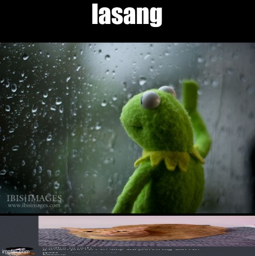 kermit window | lasang | image tagged in kermit window | made w/ Imgflip meme maker