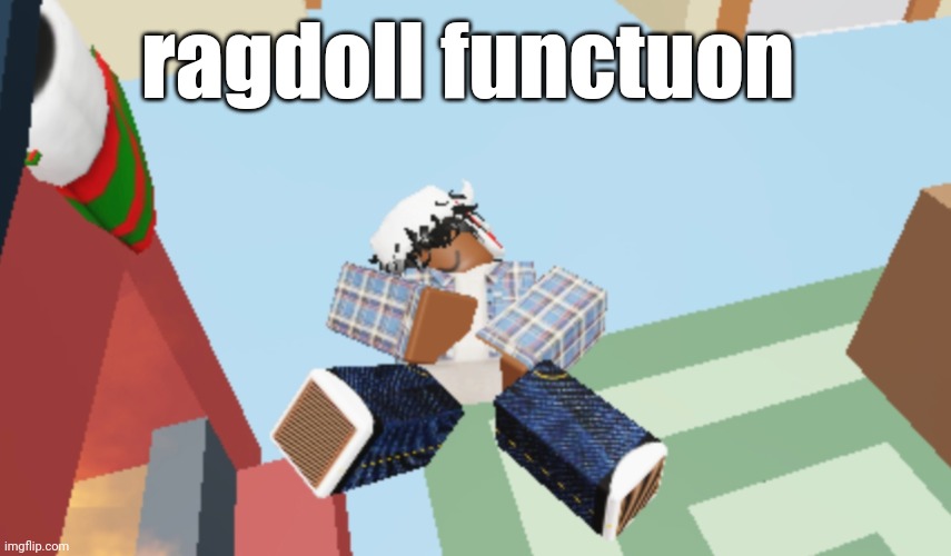 ragdoll functuon | made w/ Imgflip meme maker