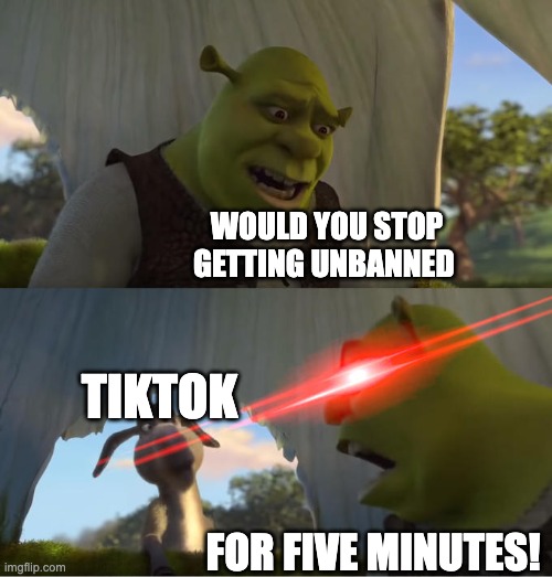 Shrek For Five Minutes | WOULD YOU STOP GETTING UNBANNED; TIKTOK; FOR FIVE MINUTES! | image tagged in shrek for five minutes | made w/ Imgflip meme maker