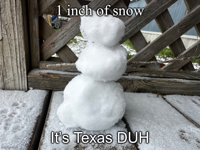 1 inch of snow; It’s Texas DUH | made w/ Imgflip meme maker