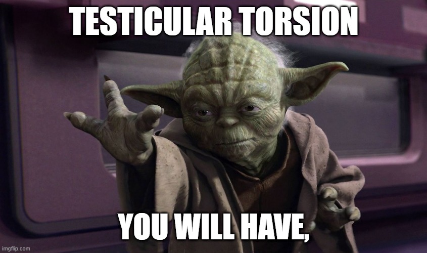 Torsion Testicular you shall have | TESTICULAR TORSION; YOU WILL HAVE, | image tagged in yoda force push | made w/ Imgflip meme maker