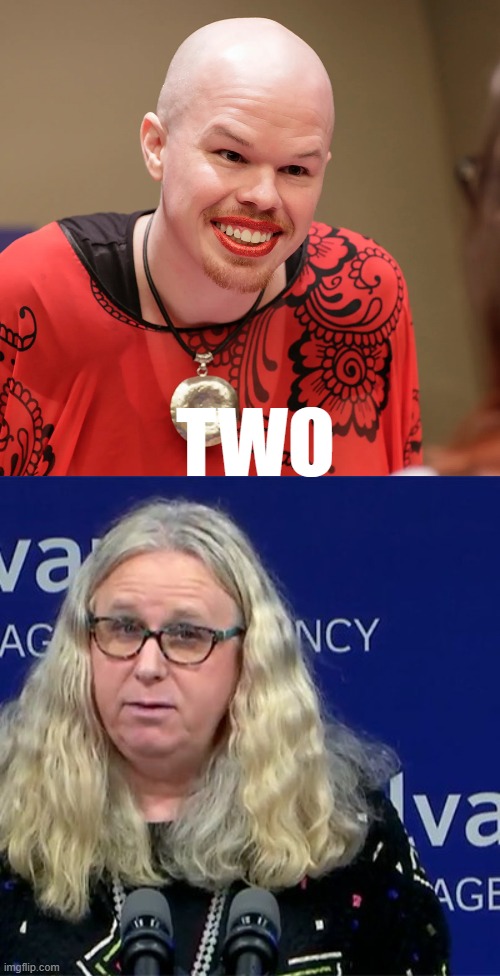 TWO | image tagged in trans,rachel levine | made w/ Imgflip meme maker