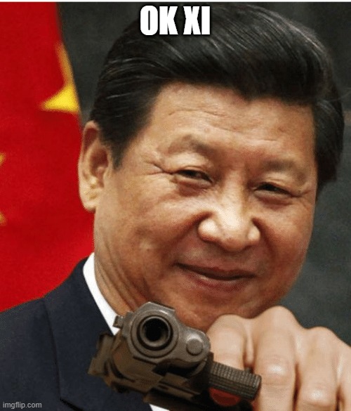 Xi Jinping | OK XI | image tagged in xi jinping | made w/ Imgflip meme maker