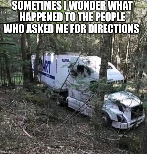 Sometimes I Wonder What Happened To The People Who Asked Me For Directions | SOMETIMES I WONDER WHAT HAPPENED TO THE PEOPLE WHO ASKED ME FOR DIRECTIONS | image tagged in chris joines | made w/ Imgflip meme maker