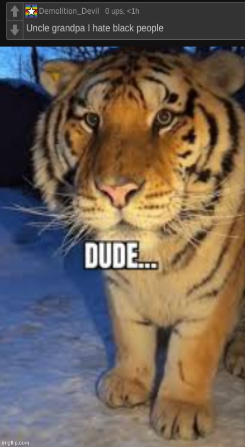 Giant realist flying tiger | image tagged in tiger,i hate you,black people | made w/ Imgflip meme maker