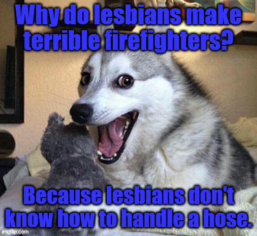 Lesbian FIrefighters Punchline | Why do lesbians make terrible firefighters? Because lesbians don't know how to handle a hose. | image tagged in pun dog punchline | made w/ Imgflip meme maker