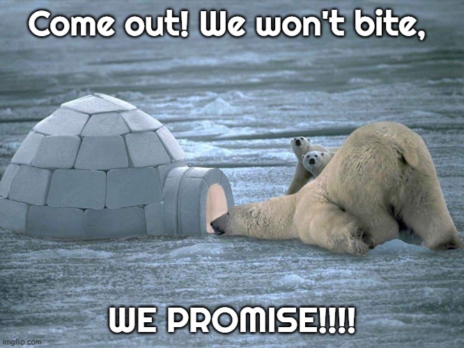 Hellll-o-o-o-o-o- ... . | Come out! We won't bite, WE PROMISE!!!! | image tagged in polar bear igloo | made w/ Imgflip meme maker