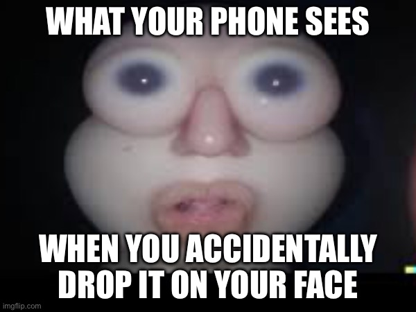 WHAT YOUR PHONE SEES; WHEN YOU ACCIDENTALLY DROP IT ON YOUR FACE | made w/ Imgflip meme maker