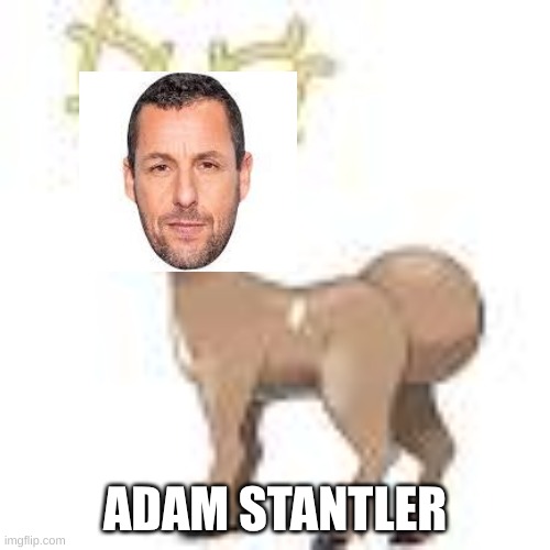 My humor sucks | ADAM STANTLER | image tagged in adam sandler | made w/ Imgflip meme maker