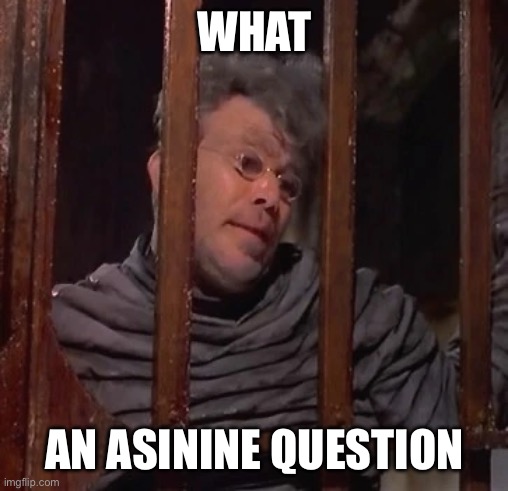 Ask Stupid Questions, Get Stupid Answers | WHAT; AN ASININE QUESTION | image tagged in dracula,stupid question,stupidity,duh,stupid | made w/ Imgflip meme maker