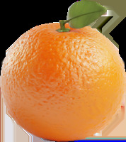 Orange Blank Meme Template