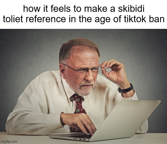 Boomer on computer | how it feels to make a skibidi toliet reference in the age of tiktok ban | image tagged in boomer on computer | made w/ Imgflip meme maker