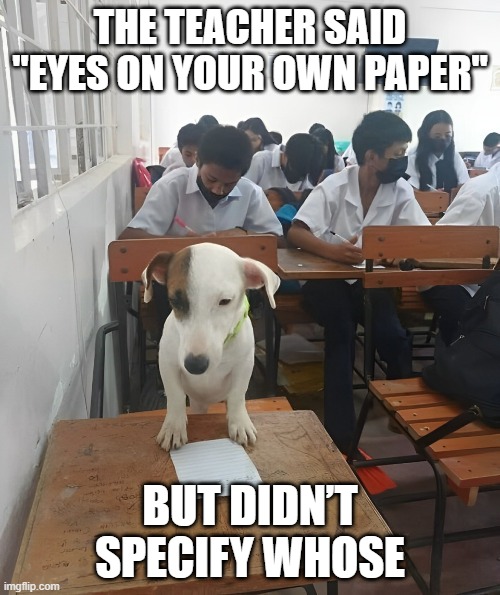 exam | THE TEACHER SAID "EYES ON YOUR OWN PAPER"; BUT DIDN’T SPECIFY WHOSE | image tagged in memes | made w/ Imgflip meme maker