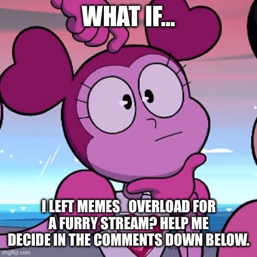 What if… (Part Seven) | WHAT IF…; I LEFT MEMES_OVERLOAD FOR A FURRY STREAM? HELP ME DECIDE IN THE COMMENTS DOWN BELOW. | image tagged in what if | made w/ Imgflip meme maker