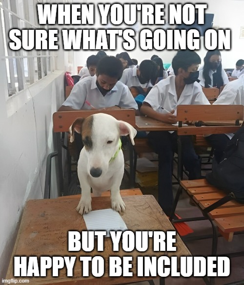 That feeling! | WHEN YOU'RE NOT SURE WHAT'S GOING ON; BUT YOU'RE HAPPY TO BE INCLUDED | image tagged in memes | made w/ Imgflip meme maker