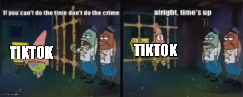 tiktok ban | TIKTOK; TIKTOK | image tagged in funny memes | made w/ Imgflip meme maker