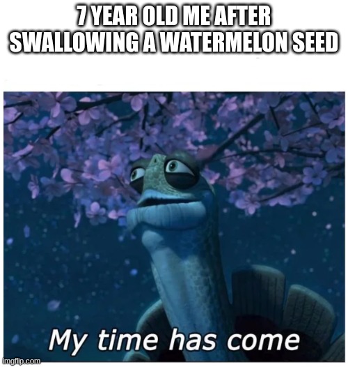 My time has come | 7 YEAR OLD ME AFTER SWALLOWING A WATERMELON SEED | image tagged in my time has come | made w/ Imgflip meme maker