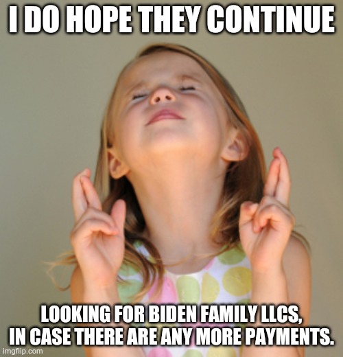 Hope So | I DO HOPE THEY CONTINUE LOOKING FOR BIDEN FAMILY LLCS, IN CASE THERE ARE ANY MORE PAYMENTS. | image tagged in hope so | made w/ Imgflip meme maker