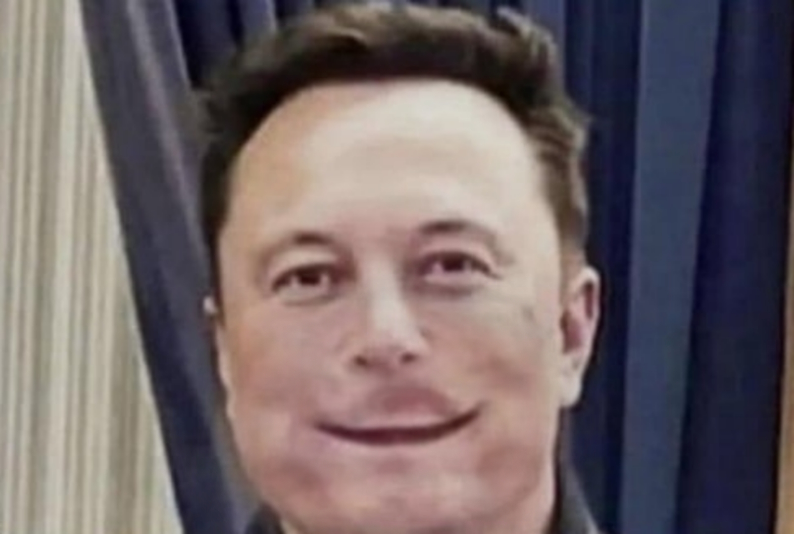 Elon musk smiling the correct way Blank Meme Template