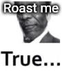 True... | Roast me | image tagged in true | made w/ Imgflip meme maker