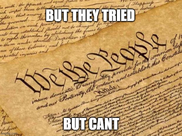 Constitution | BUT THEY TRIED BUT CANT | image tagged in constitution | made w/ Imgflip meme maker