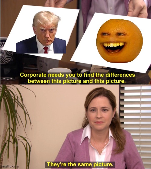 They're The Same Picture | image tagged in memes,they're the same picture | made w/ Imgflip meme maker